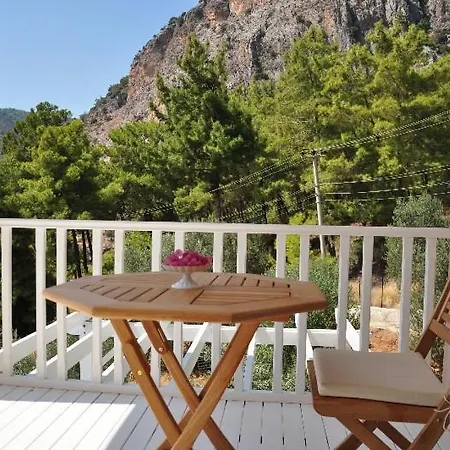 Daidala Villa Muğla